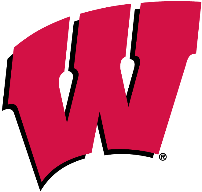 Wisconsin Badgers 1991-Pres Primary Logo diy iron on heat transfer...